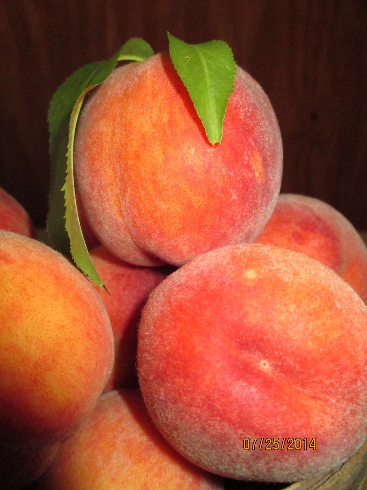 Ripe peaches, a close view